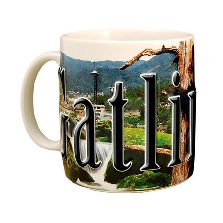 AMERICAWARE Americaware SMGAT01 Gatlinburg 18 oz Full Color Relief Mug SMGAT01